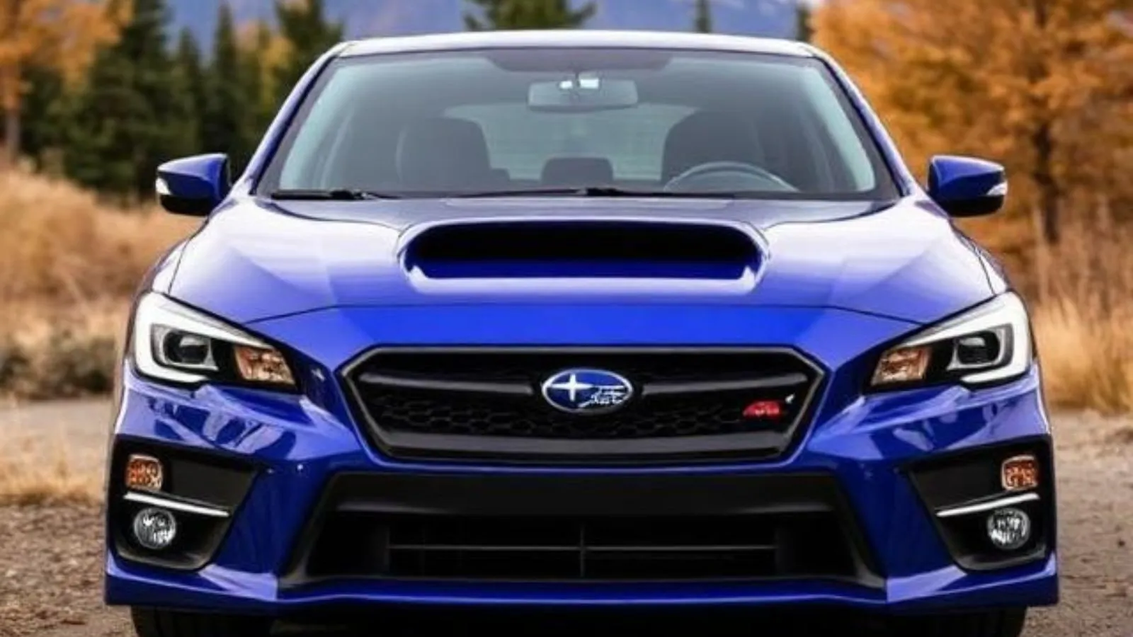 what does subaru mean